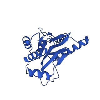 18758_8qym_A_v1-1
Human 20S proteasome assembly intermediate structure 3