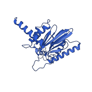 18758_8qym_B_v1-1
Human 20S proteasome assembly intermediate structure 3