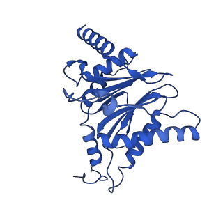 18758_8qym_C_v1-1
Human 20S proteasome assembly intermediate structure 3