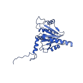 18758_8qym_D_v1-1
Human 20S proteasome assembly intermediate structure 3