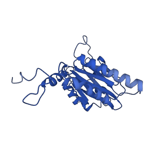 18758_8qym_E_v1-1
Human 20S proteasome assembly intermediate structure 3