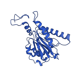 18758_8qym_F_v1-1
Human 20S proteasome assembly intermediate structure 3