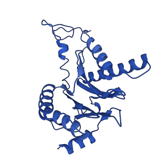 18758_8qym_G_v1-1
Human 20S proteasome assembly intermediate structure 3