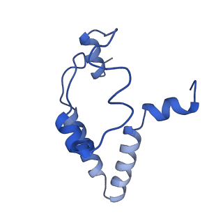 18758_8qym_H_v1-1
Human 20S proteasome assembly intermediate structure 3