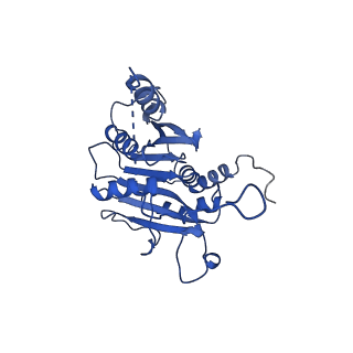 18758_8qym_I_v1-1
Human 20S proteasome assembly intermediate structure 3