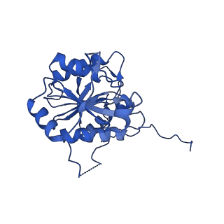 18758_8qym_J_v1-1
Human 20S proteasome assembly intermediate structure 3