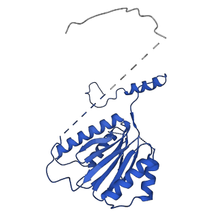 18758_8qym_K_v1-1
Human 20S proteasome assembly intermediate structure 3