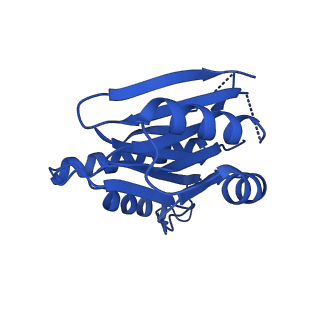 18758_8qym_L_v1-1
Human 20S proteasome assembly intermediate structure 3