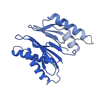 18758_8qym_M_v1-1
Human 20S proteasome assembly intermediate structure 3