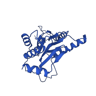 18759_8qyn_A_v1-1
Human 20S proteasome assembly intermediate structure 5