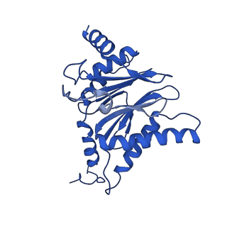 18759_8qyn_C_v1-1
Human 20S proteasome assembly intermediate structure 5