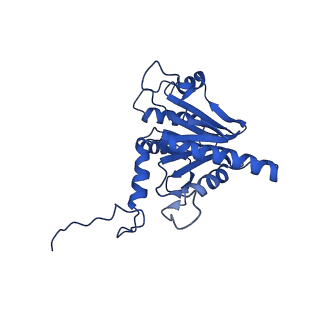 18759_8qyn_D_v1-1
Human 20S proteasome assembly intermediate structure 5