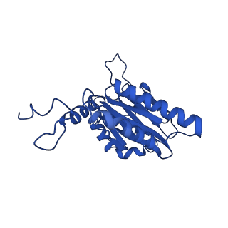 18759_8qyn_E_v1-1
Human 20S proteasome assembly intermediate structure 5