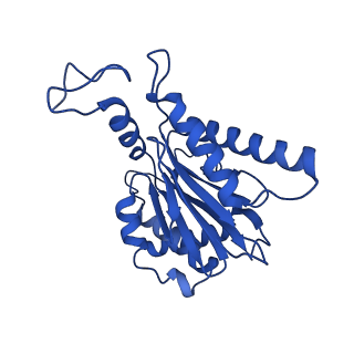18759_8qyn_F_v1-1
Human 20S proteasome assembly intermediate structure 5