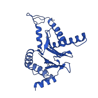 18759_8qyn_G_v1-1
Human 20S proteasome assembly intermediate structure 5