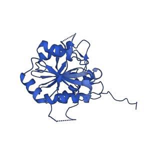 18759_8qyn_J_v1-1
Human 20S proteasome assembly intermediate structure 5