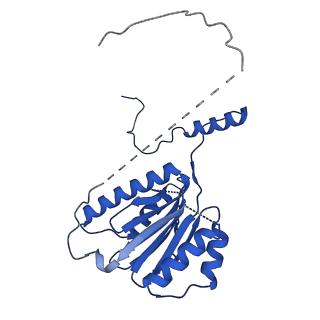 18759_8qyn_K_v1-1
Human 20S proteasome assembly intermediate structure 5