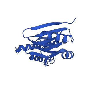 18759_8qyn_L_v1-1
Human 20S proteasome assembly intermediate structure 5