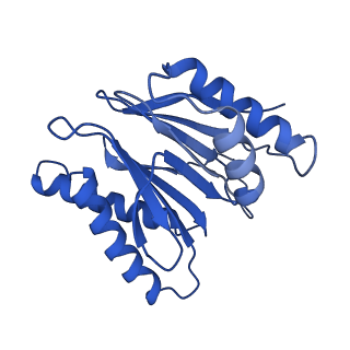 18759_8qyn_M_v1-1
Human 20S proteasome assembly intermediate structure 5