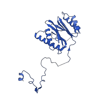 18759_8qyn_N_v1-1
Human 20S proteasome assembly intermediate structure 5