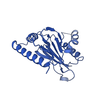 18759_8qyn_O_v1-1
Human 20S proteasome assembly intermediate structure 5