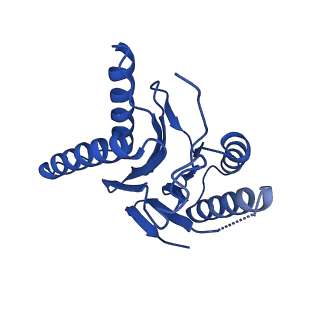 18759_8qyn_P_v1-1
Human 20S proteasome assembly intermediate structure 5