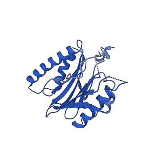 18759_8qyn_Q_v1-1
Human 20S proteasome assembly intermediate structure 5