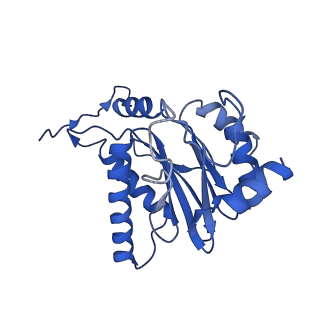 18760_8qyo_A_v1-1
Human proteasome 20S core particle