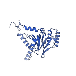 18760_8qyo_B_v1-1
Human proteasome 20S core particle