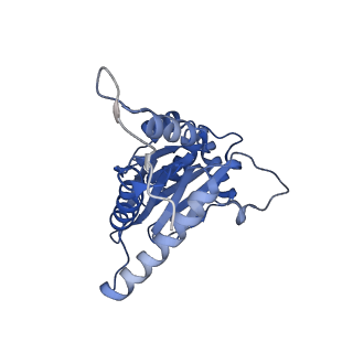 18760_8qyo_C_v1-1
Human proteasome 20S core particle