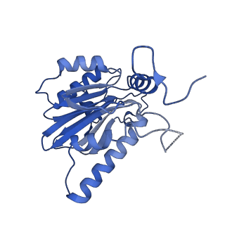 18760_8qyo_D_v1-1
Human proteasome 20S core particle