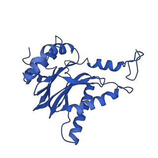 18760_8qyo_E_v1-1
Human proteasome 20S core particle