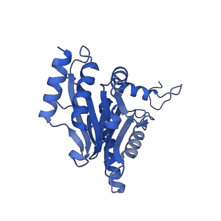 18760_8qyo_F_v1-1
Human proteasome 20S core particle