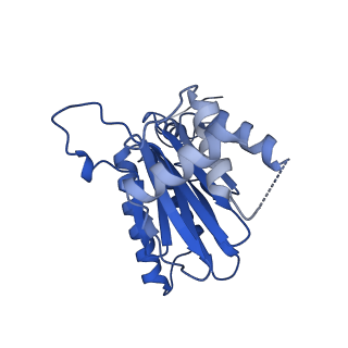 18760_8qyo_G_v1-1
Human proteasome 20S core particle