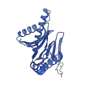 18760_8qyo_H_v1-1
Human proteasome 20S core particle