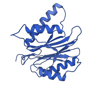 18760_8qyo_I_v1-1
Human proteasome 20S core particle