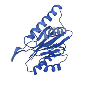 18760_8qyo_J_v1-1
Human proteasome 20S core particle