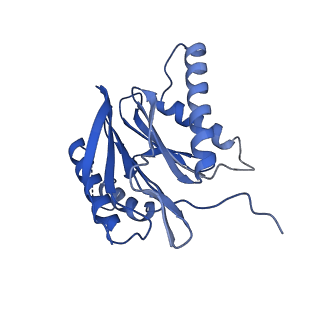 18760_8qyo_L_v1-1
Human proteasome 20S core particle