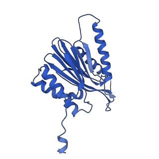 18760_8qyo_M_v1-1
Human proteasome 20S core particle