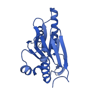 18760_8qyo_N_v1-1
Human proteasome 20S core particle