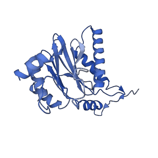 18760_8qyo_O_v1-1
Human proteasome 20S core particle