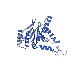 18760_8qyo_P_v1-1
Human proteasome 20S core particle