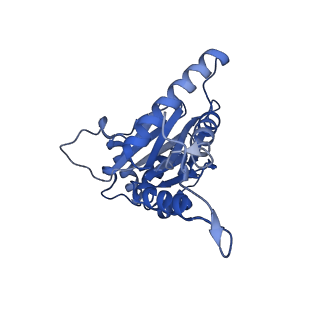 18760_8qyo_Q_v1-1
Human proteasome 20S core particle