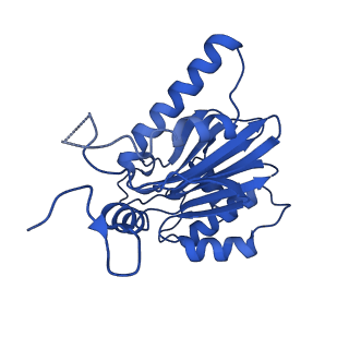 18760_8qyo_R_v1-1
Human proteasome 20S core particle