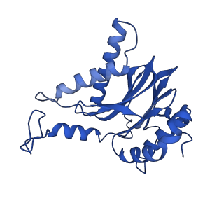 18760_8qyo_S_v1-1
Human proteasome 20S core particle