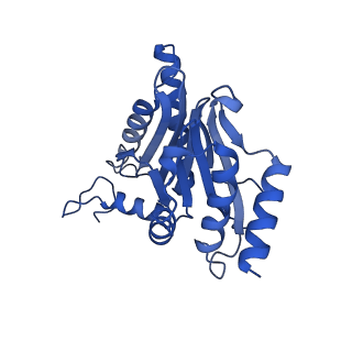 18760_8qyo_T_v1-1
Human proteasome 20S core particle