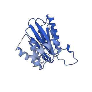 18760_8qyo_U_v1-1
Human proteasome 20S core particle