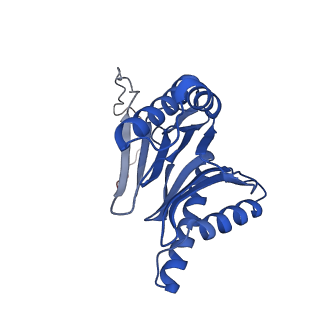 18760_8qyo_V_v1-1
Human proteasome 20S core particle