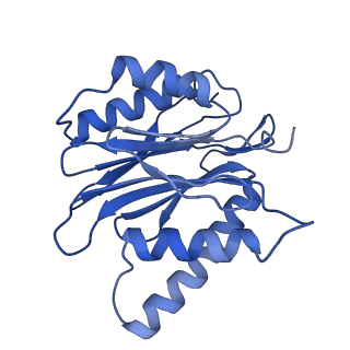 18760_8qyo_W_v1-1
Human proteasome 20S core particle