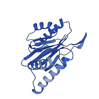 18760_8qyo_X_v1-1
Human proteasome 20S core particle